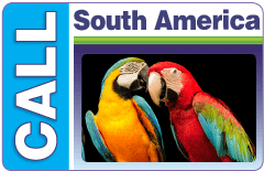 CALL South America