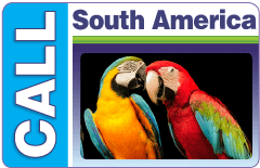 Call South America using CALL South America calling card.