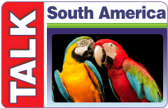 Call South America using TALK South America calling card.